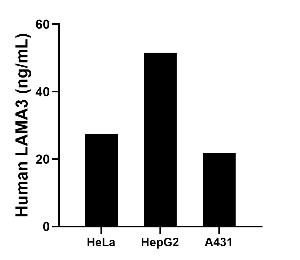 Sample test of MP00186-2